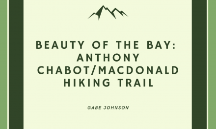 Beauty of the Bay: Anthony Chabot Regional/MacDonald Hiking Trail