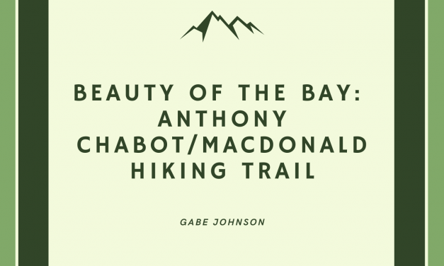 Beauty of the Bay: Anthony Chabot Regional/MacDonald Hiking Trail