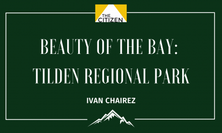 Beauty of the Bay: Tilden Regional Park