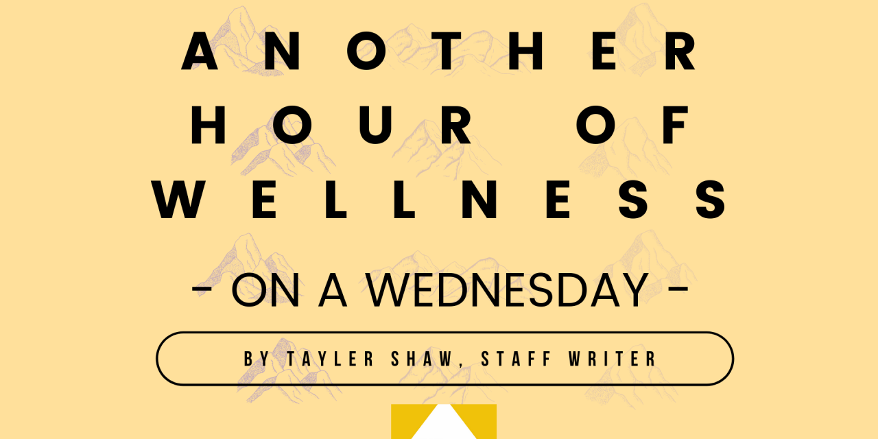 Another Hour of Wellness On a Wednesday: Meditation and Well Being