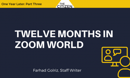 Twelve Months in Zoom World